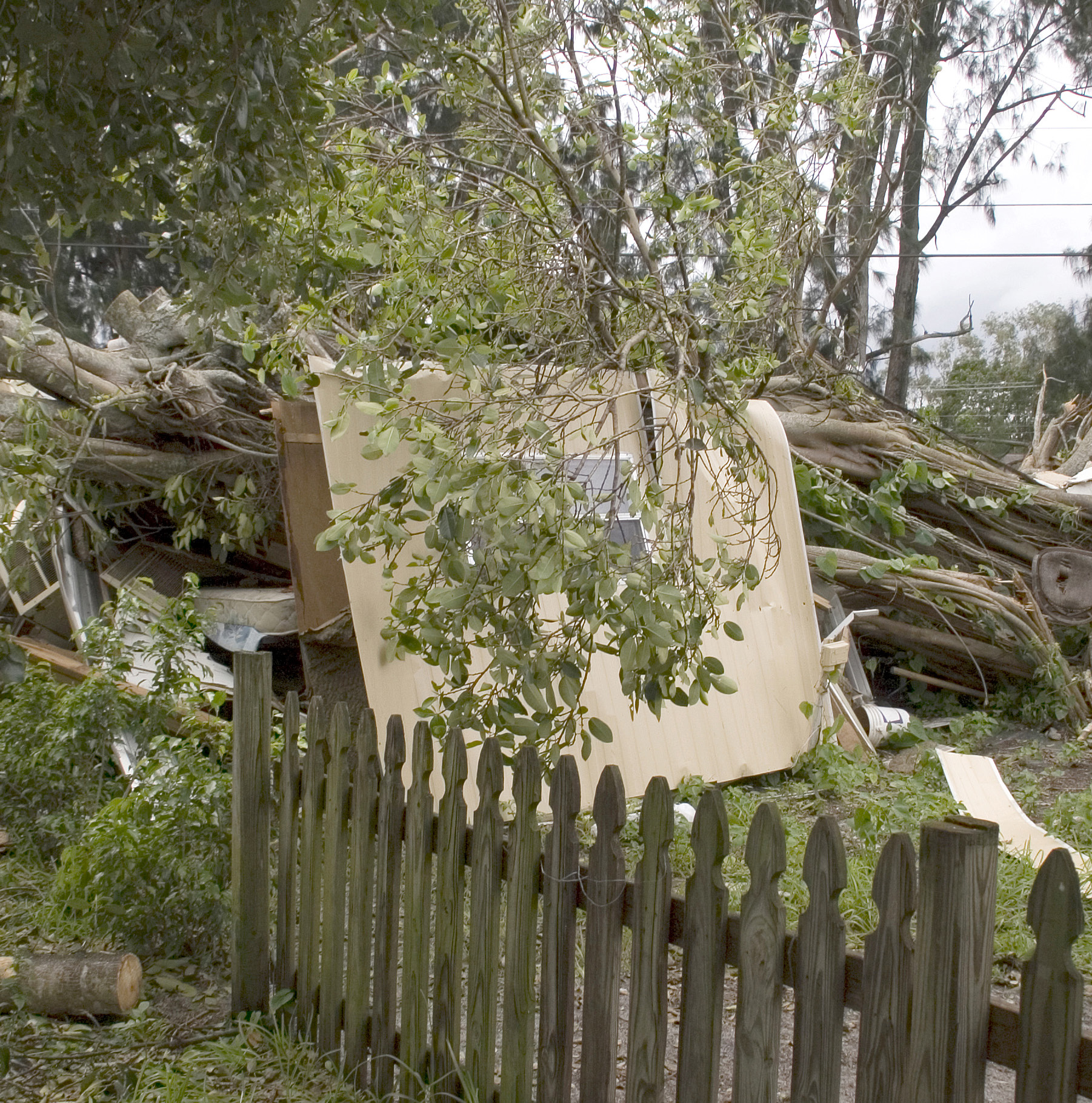 Damaged fence with debris and downed trees as a result of hurricane wind from Katrina.