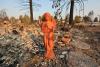 A red clay statue of an angel stands in the burned out remnants of a yard. 