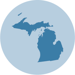 MI State Logo