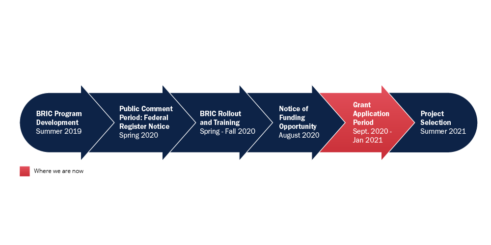 Building Resilient Infrastructure and Communities (BRIC) FEMA.gov