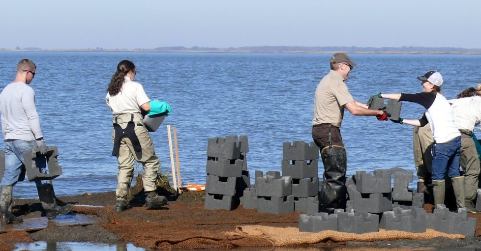 People working together lifting bricks on the shore