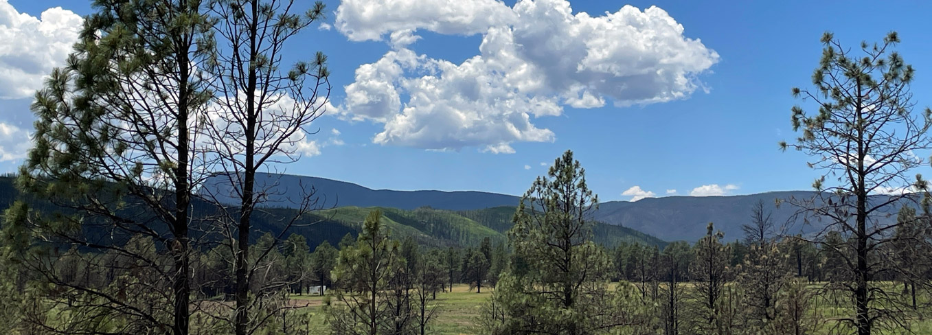 image of a valley in the daylight