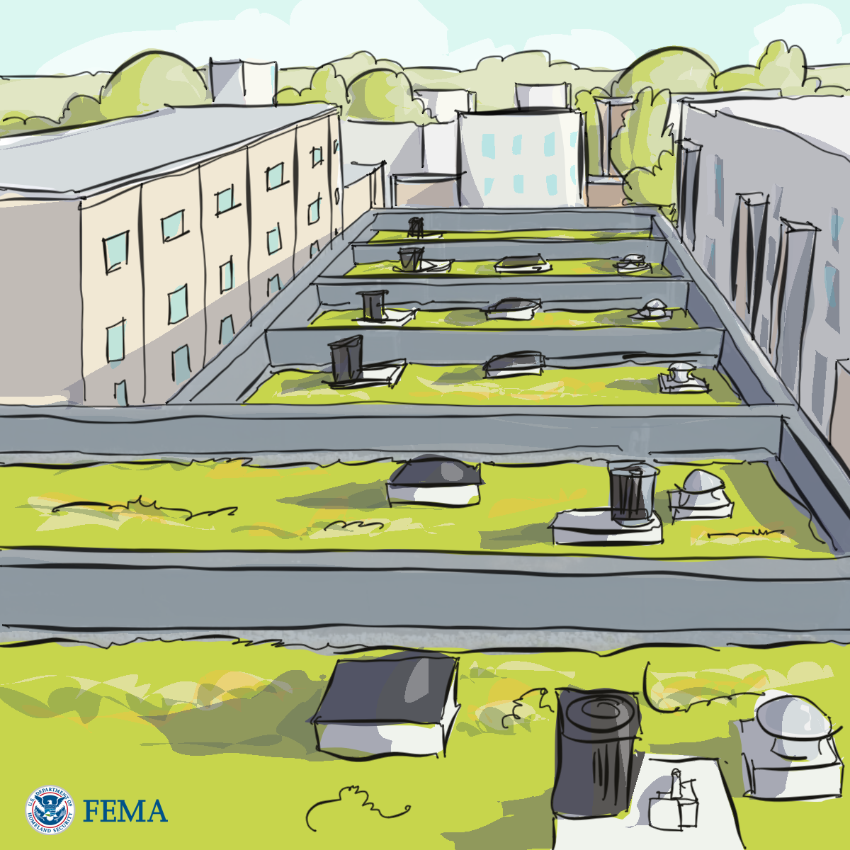 Graphic for Neighborhood or Site Scale: Green Roofs