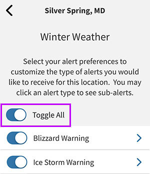 Winter Weather screen. “Toggle All” option is highlighted. All weather type options are on.