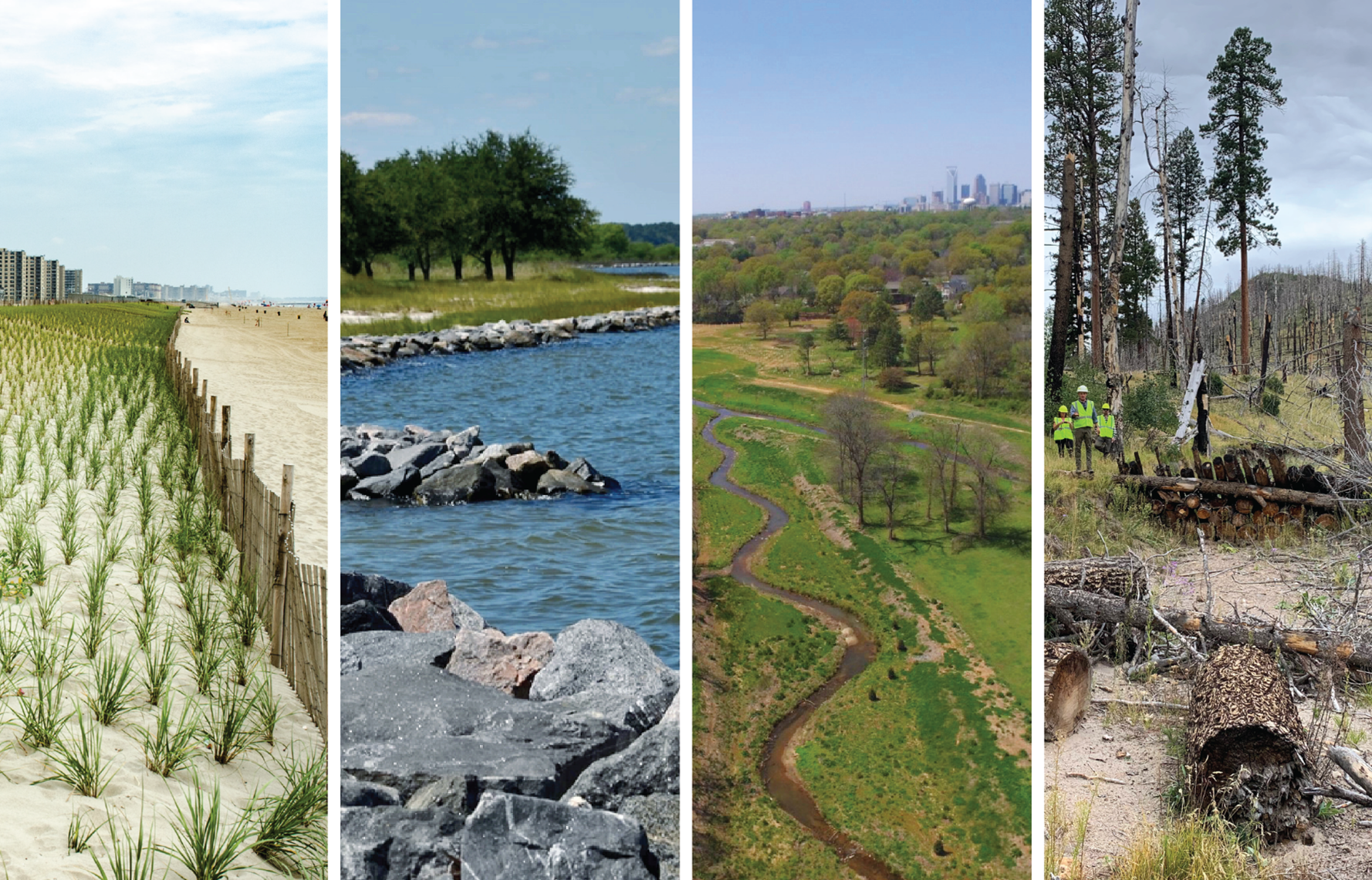   Four landscape images in a single frame: beach seeded with grass, river supported by rock walls, waterway outside a large city, three people in yellow safety vests near burned and downed trees.