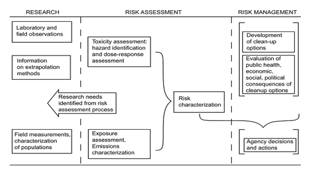 The risk assessment/management paradigm is separated into 3 components: research, risk assessment, and risk management. Research includes laboratory and field observations; information on extrapolation methods; and, field measurements and characterization of populations. An arrow from risk assessment to research says research needs identified from risk assessment processes. Risk assessment includes risk characterization, which includes toxicity assessment, hazard identification, dose-response assessment, ex