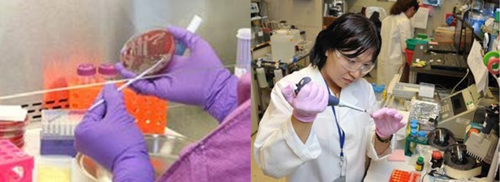 Figure 10: Scientists analyzing incident samples
