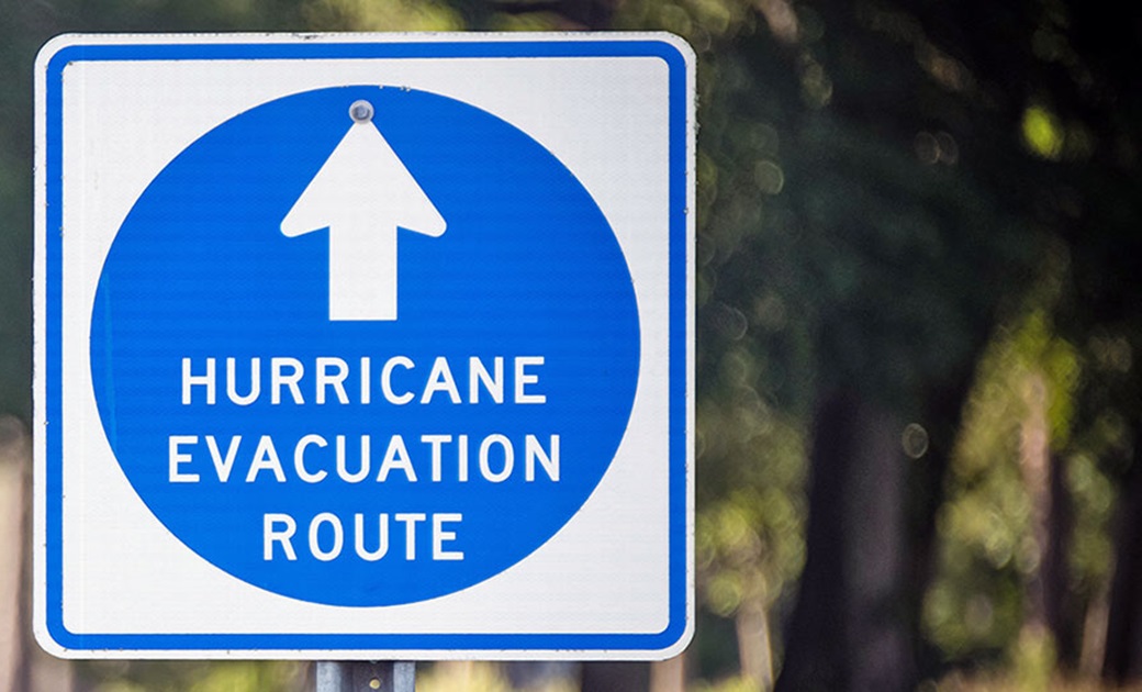 A picture of a hurricane evacuation sign in a forest.