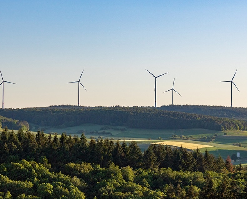 A picture showing windmills and forest space.