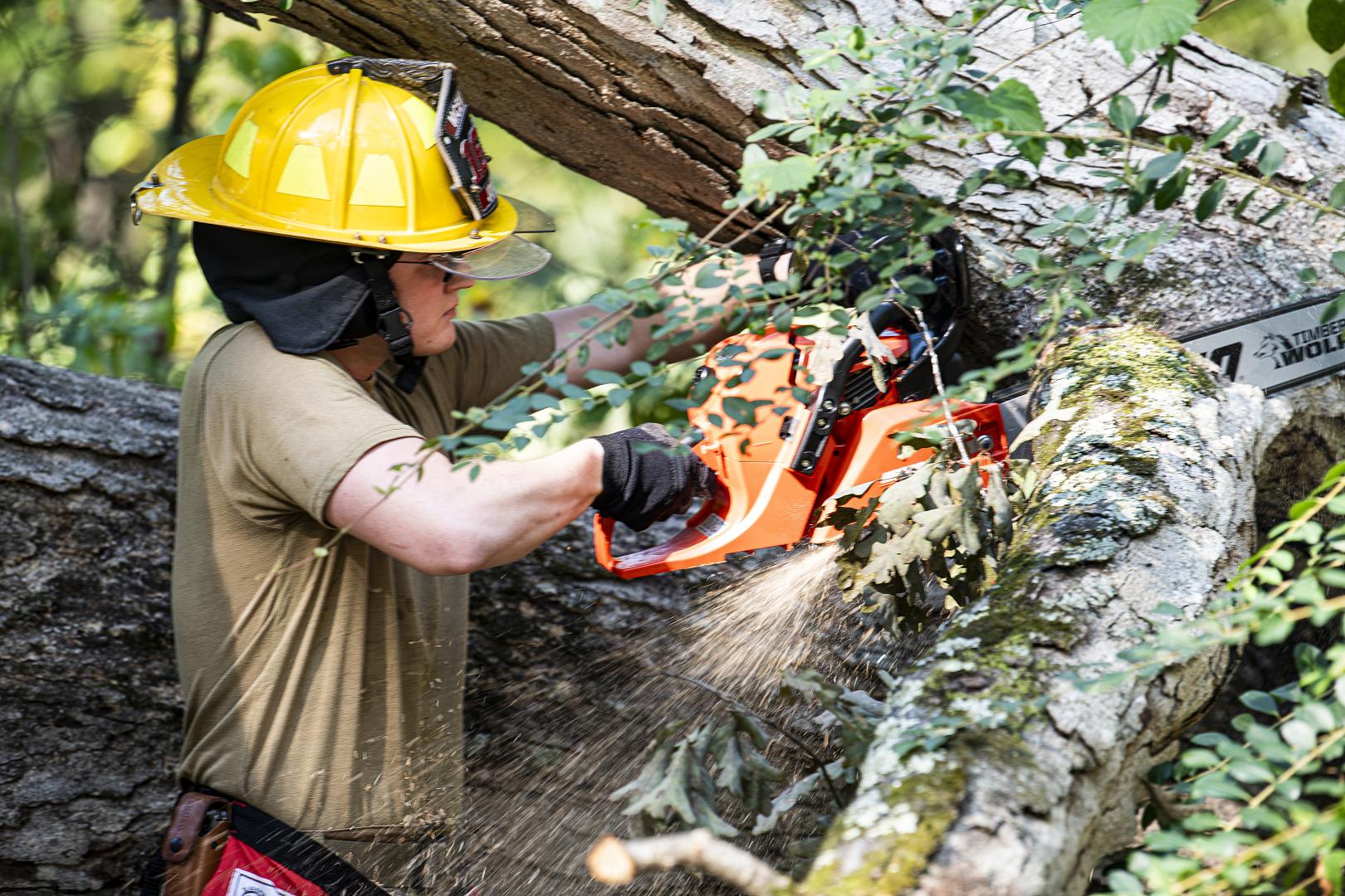 man cutting down tree using chainsaw