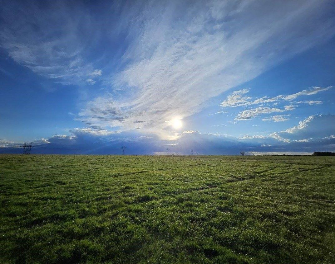 A photograph showing a pasture and blue sky, with the sun.