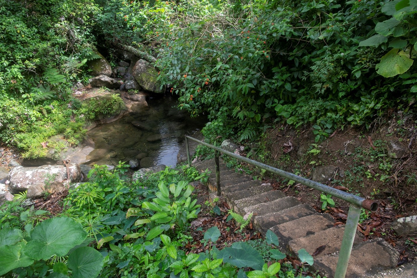 Toro Negro - Trail to the Natural Pool