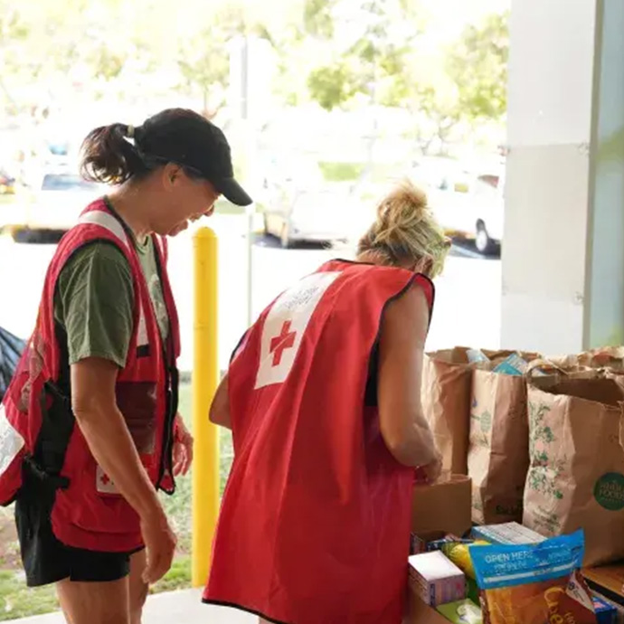 Voluntary organization workers with donated supplies