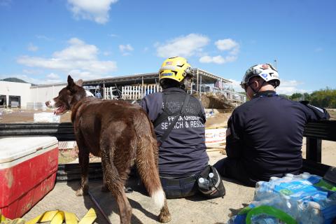 Caption: <p>Asheville, N.C. - (Oct. 2, 2024) Urban Search and Rescue Team member Ellen McGarry, a canine handler from Missouri Task Force One, and her dog Tad support emergency operations in Western North Carolina on Wednesday, October 2, 2024.</p>