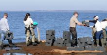 People working together lifting bricks on the shore