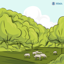 A drawing of sheep in an open field, with trees.