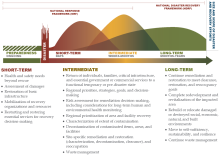Recovery Continuum Chart
