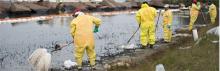 Figure 1: PPE-clad responders cleaning an oil spill with pom-poms and rakes