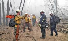 A group of firefighters standing in a burn scar area.