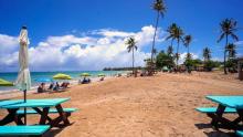 View of beach shore with blue and yellow umbrellas and palm trees.